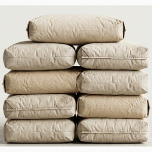 Ambuja PPC Cement â€” Portland Pozzolana for Masonry â€“ 50 KG